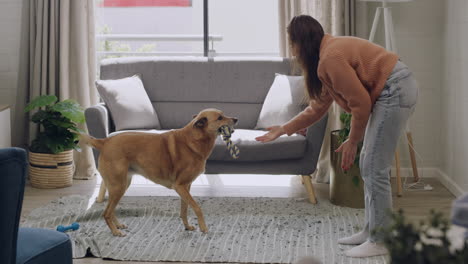 caucasian woman teaching cute furry brown dog