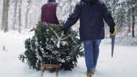 Familie-Bereitet-Sich-Auf-Die-Weihnachtszeit-Vor