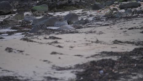 Tilt-Up-Beach-Reveal-of-Carraig-Fhada-Lighthouse,-Islay-Lighthouse