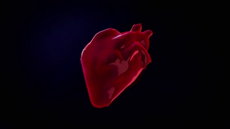 3d rendered heart