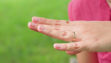 ladybird insect moving along white female hands wearing wedding engagement ring