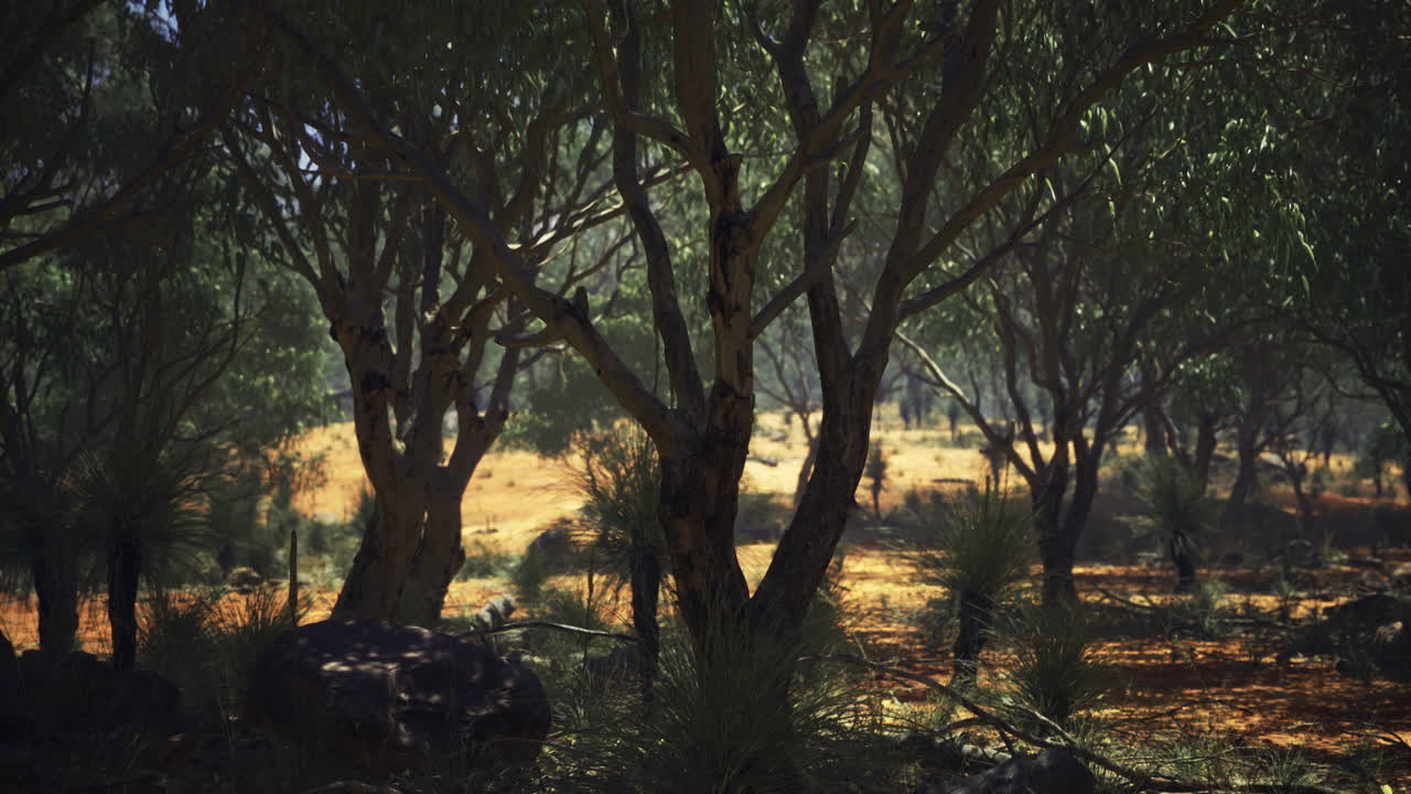 Serene landscape with green trees and golden sunlight in a natural setting