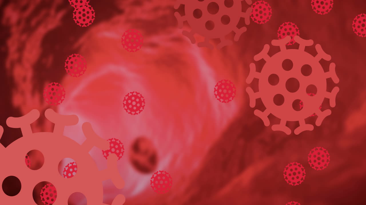 빨간 배경에서 회전하고 확산하는 거대한 빨간 코로나바이러스 세포의 애니메이션