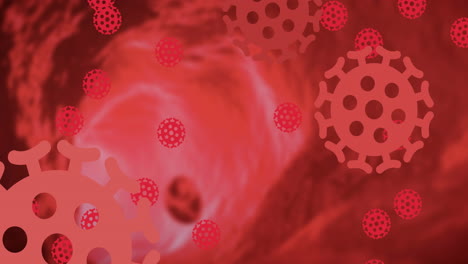 animación de macros células rojas de coronavirus girando y extendiéndose sobre un fondo rojo