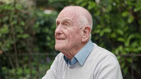 retrato de un hombre anciano