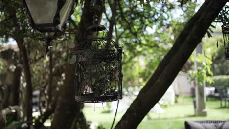 una jaula de pájaros adornada colgando de una rama de un árbol en un jardín soleado