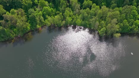 aerial view of a calm lake with sun reflections near a lush green forest in summer
