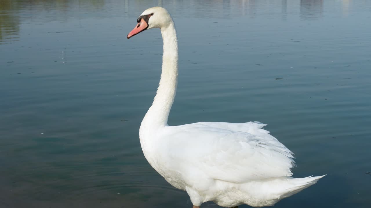 canada lake ontario summer water lakeshore toronto etobicoke water humber
