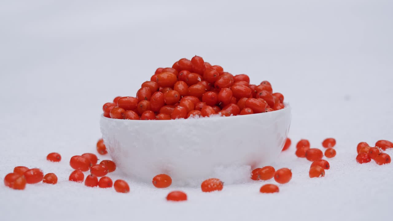 눈 위에 있는 그에 넣은 고지 베리