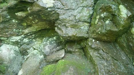 water drips over stones along wissahickon creek