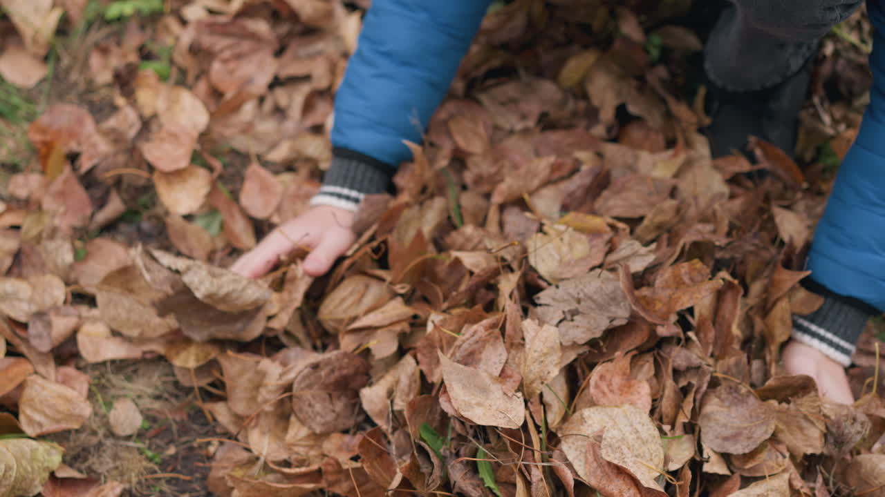 Primo piano delle mani di un bambino che raccolgono foglie autunnali secche, mostrando una persona giovane a contatto con la natura durante la stagione autunnale