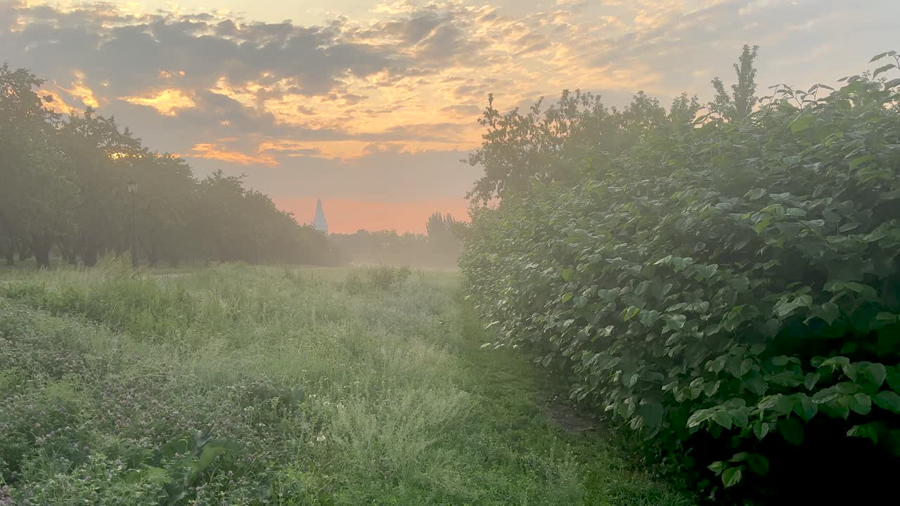 Foggy early morning in a deserted place (4K 60, in motion)
