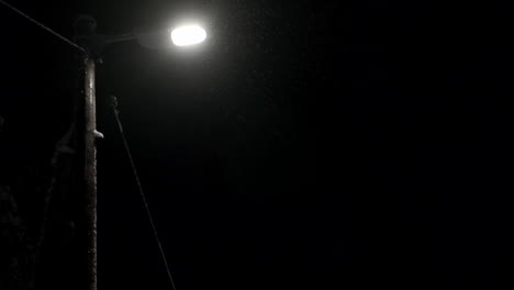 4k slowmo under a street lamp light post with snow falling down, in the forest