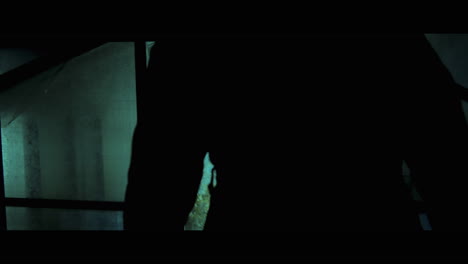 silhouette of a person in an abandoned greenhouse