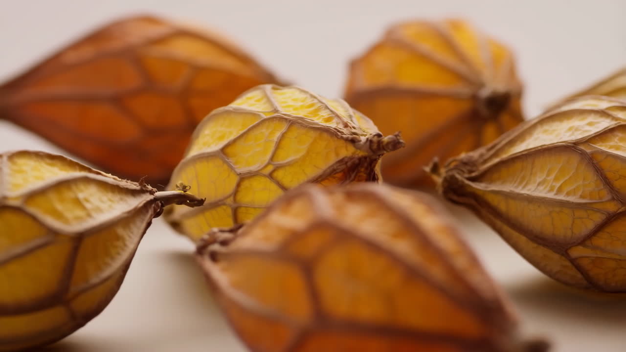 Primo piano di alchechengi essiccati, natura morta calda da studio che evidenzia la texture delle bacche dorate e la delicatezza simile alla carta