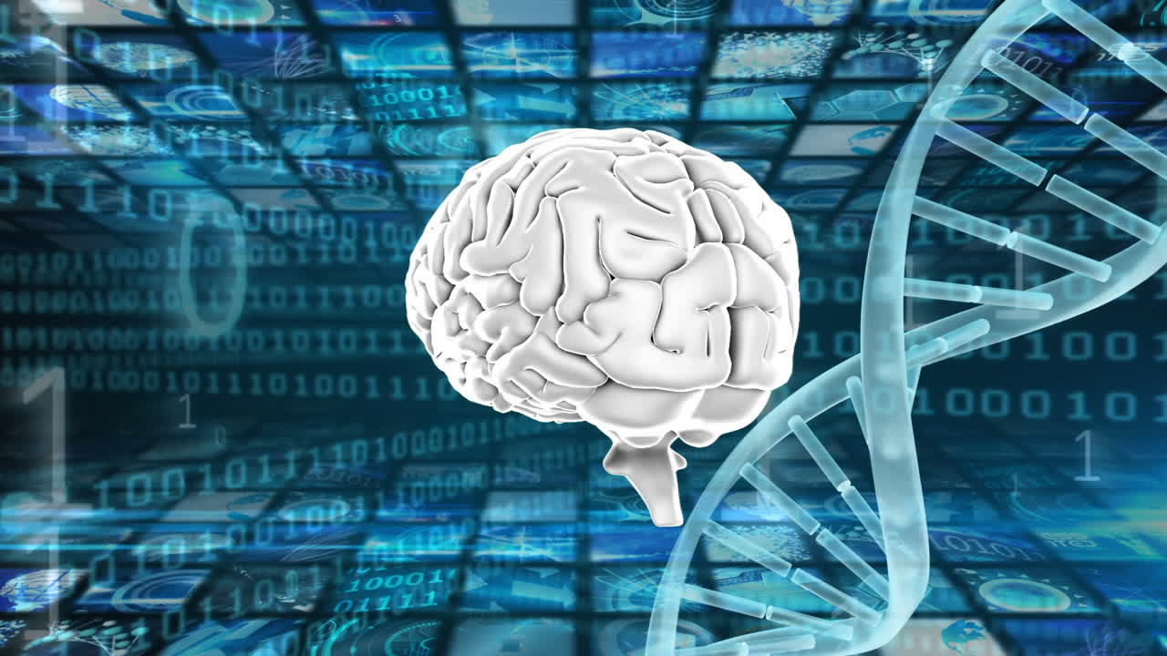 뇌와 이중 나선