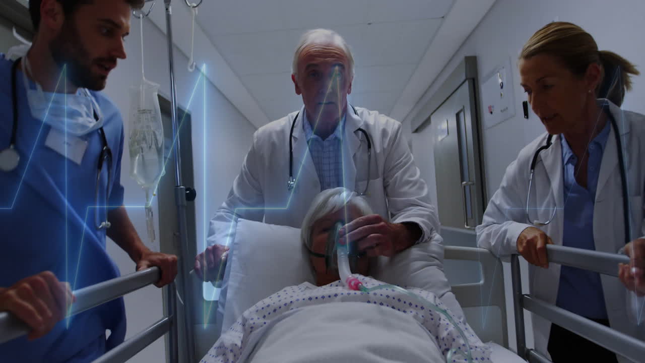 Animation of cardiograph over caucasian doctors walking with patient in hospital bed