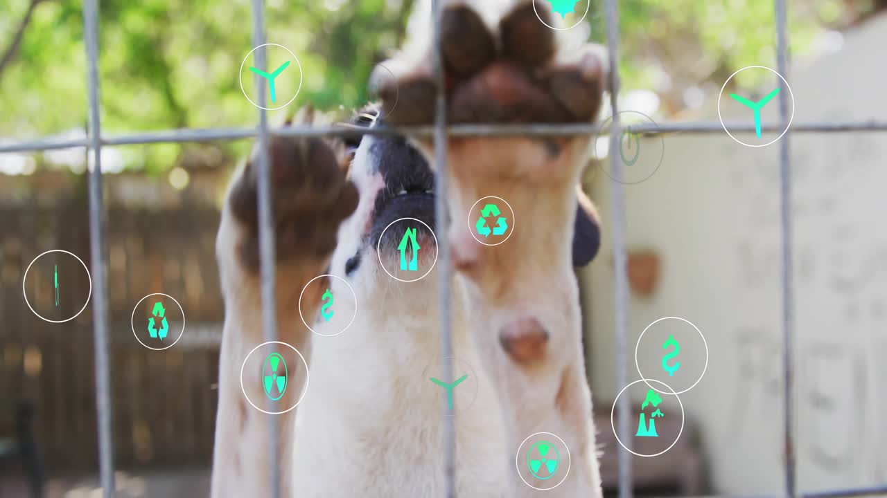 Avvistamento di icone ecologiche verdi fluttuanti, un cane che spinge le zampe su una recinzione a maglie quadrate, mostrando una reazione curiosa.
