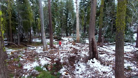 Lonely-girl-walking-through-big-trees-covered-in-snow-into-scary-forest-with-extraordinary-serenity