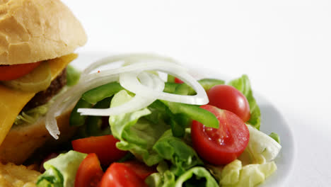 Snacks-and-salad-on-plate