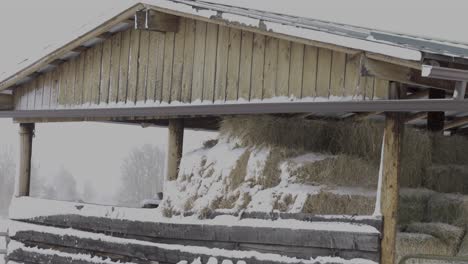 horse hay barn covered in snow