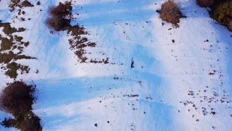 aerial top down winter mountain landscape with snow at sunset in le ménil vosges france 4k