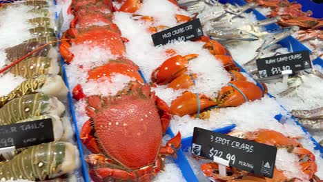 variety of seafood on ice at market