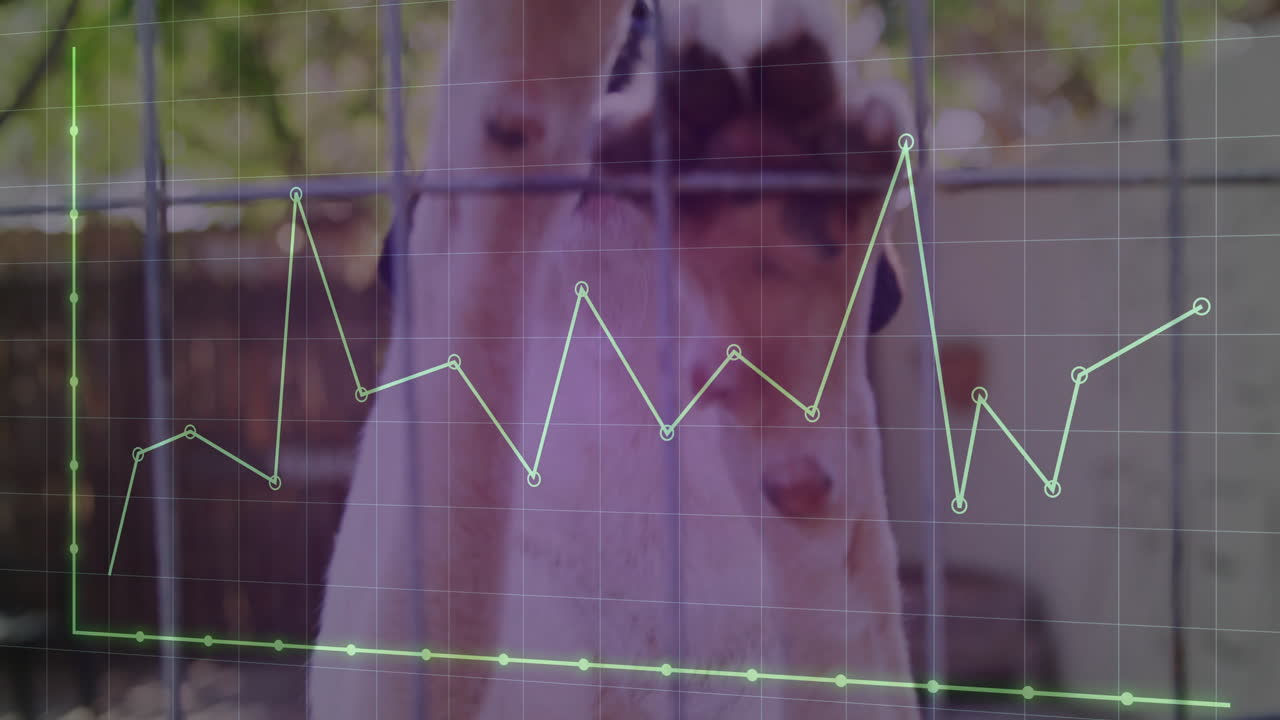 Goat standing behind metal fence, displaying grid and live data chart overlay in flat design