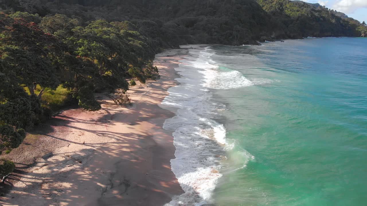 Vista aérea de una playa virgen e inmaculada en la costa de Nueva Zelanda con agua azul verdosa cristalina.