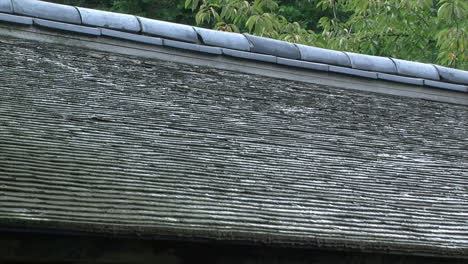 roof of japanese teahouse with ceramic tiles and hinoki wood shingles