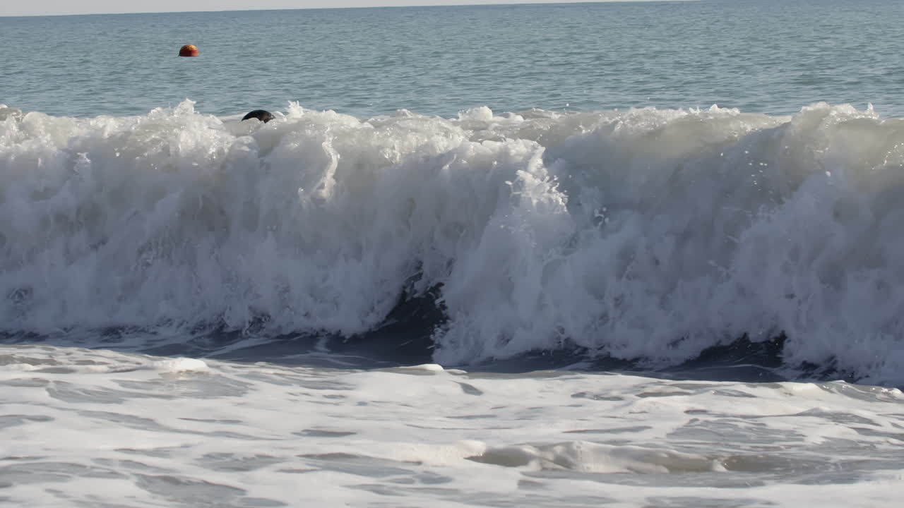 강력한 바다 파도