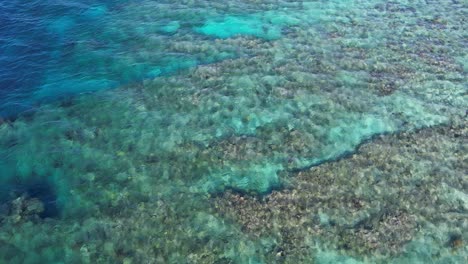 Cinematic-4k-aerial-shot-of-coral-reef-of-Utila-island-in-Honduras