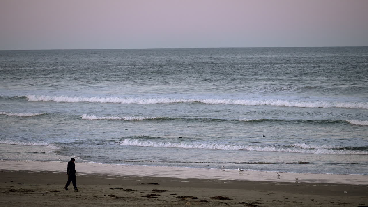 silueta de una persona caminando por la playa en un día ventoso - vista estática con gaviotas y olas