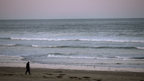 Silhouette-of-a-person-walking-along-the-beach-on-a-breezy-day---static-view-with-seagulls-and-waves