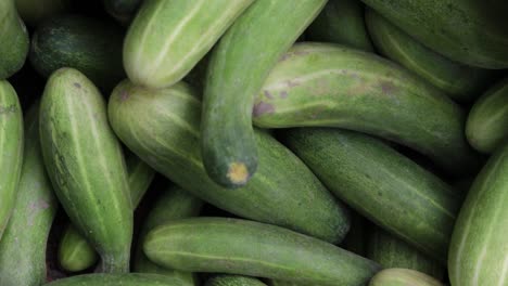 fresh organic cucumber from farm close up from different angle