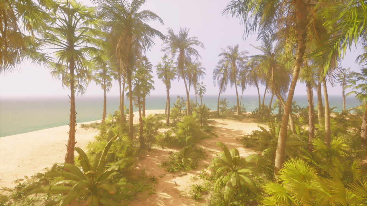 열대 섬 파라다이스 해변