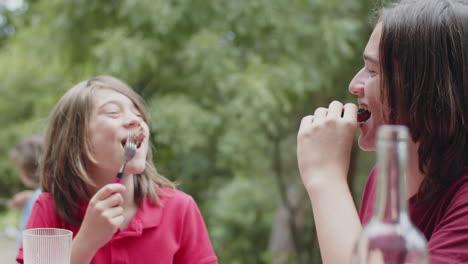 hermanos felices sentados a la mesa y comiendo barbacoa en un picnic