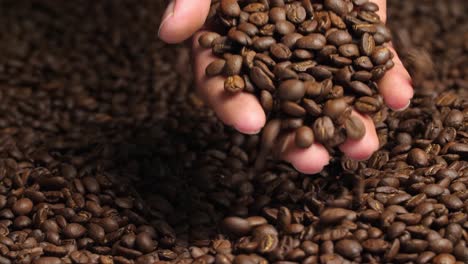 hand and coffee beans, video in 4k, 50fps