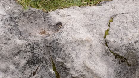 Cusco-Piedra-Serpiente-Talla-Pan-Abajo-4k-50fps