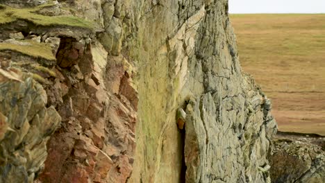 A-Vertical-cliff-face-showing-significant-layers-of-time-in-the-stone,-with-signs-of-a-fresh-rock-slide