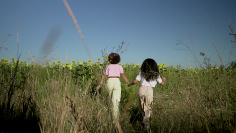 donne in un campo di girasoli