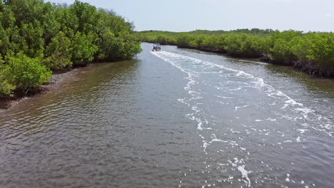 Tourists-Sailing-On-The-River-With-Dense-Mangrove-Forest-In-Manglares,-San-Crisanto,-Yucatan,-Mexico