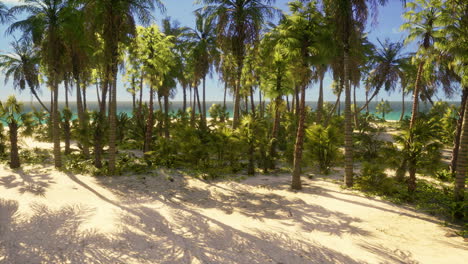 parque de la playa sur de miami con palmeras
