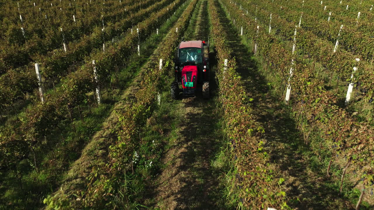 Tractor in Vineyard Aerial View