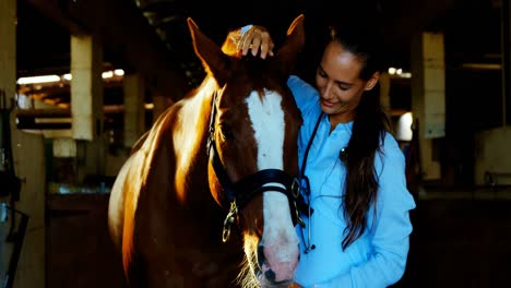 médico veterinario acariciando a un caballo 4k
