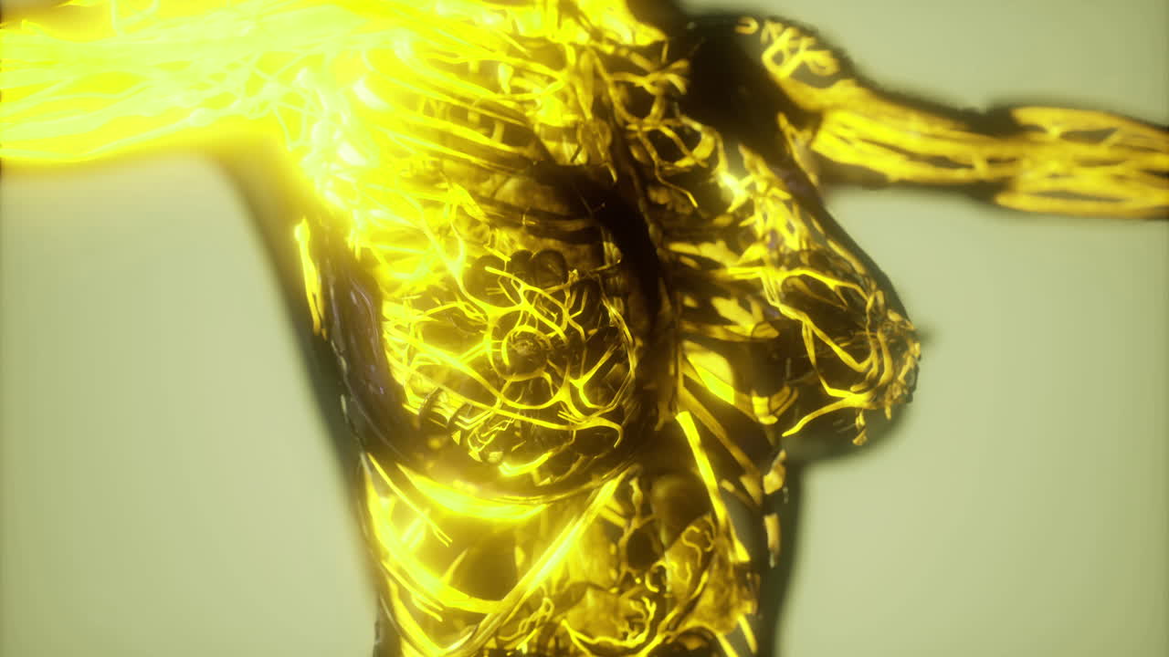 Visualization of blood vessels showcasing intricate network and structure