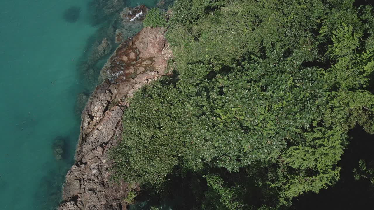 aéreo vista superior tropical océano selva rocoso costa turquesa agua