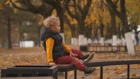 cute little child in autumn park boy is sitting on bench alone walking at early fall season colorful landscape in background