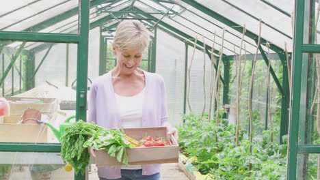 portrait of senior woman holding box of home grown vegetables in greenhouse