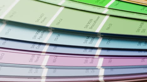Color Swatches